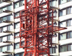 crane pic 007