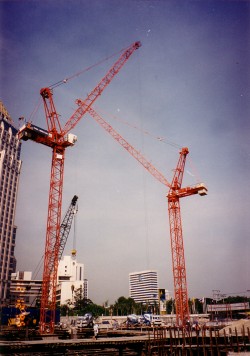 wolff160BU-chuliang