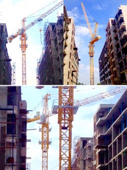 S__10444811