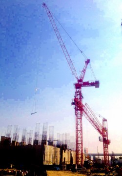 S__11083778
